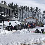 Cosy A 100 M Des Pistes *