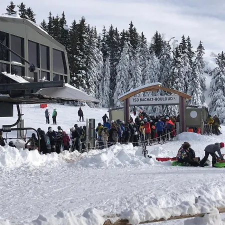 Cosy A 100 M Des Pistes *