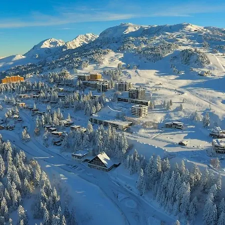 Cosy A 100 M Des Pistes
