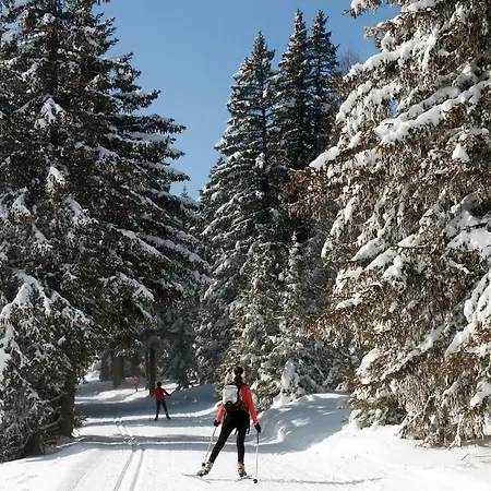 アパート Cosy A 100 M Des Pistes シャンルッス