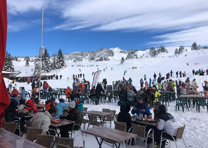 Cosy A 100 M Des Pistes *